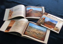 The Negev: Paintings by Abe Pinchuk